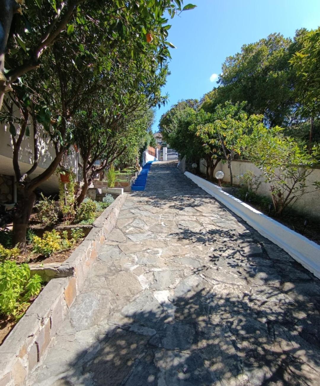B&B Terramare Montiano  Εξωτερικό φωτογραφία