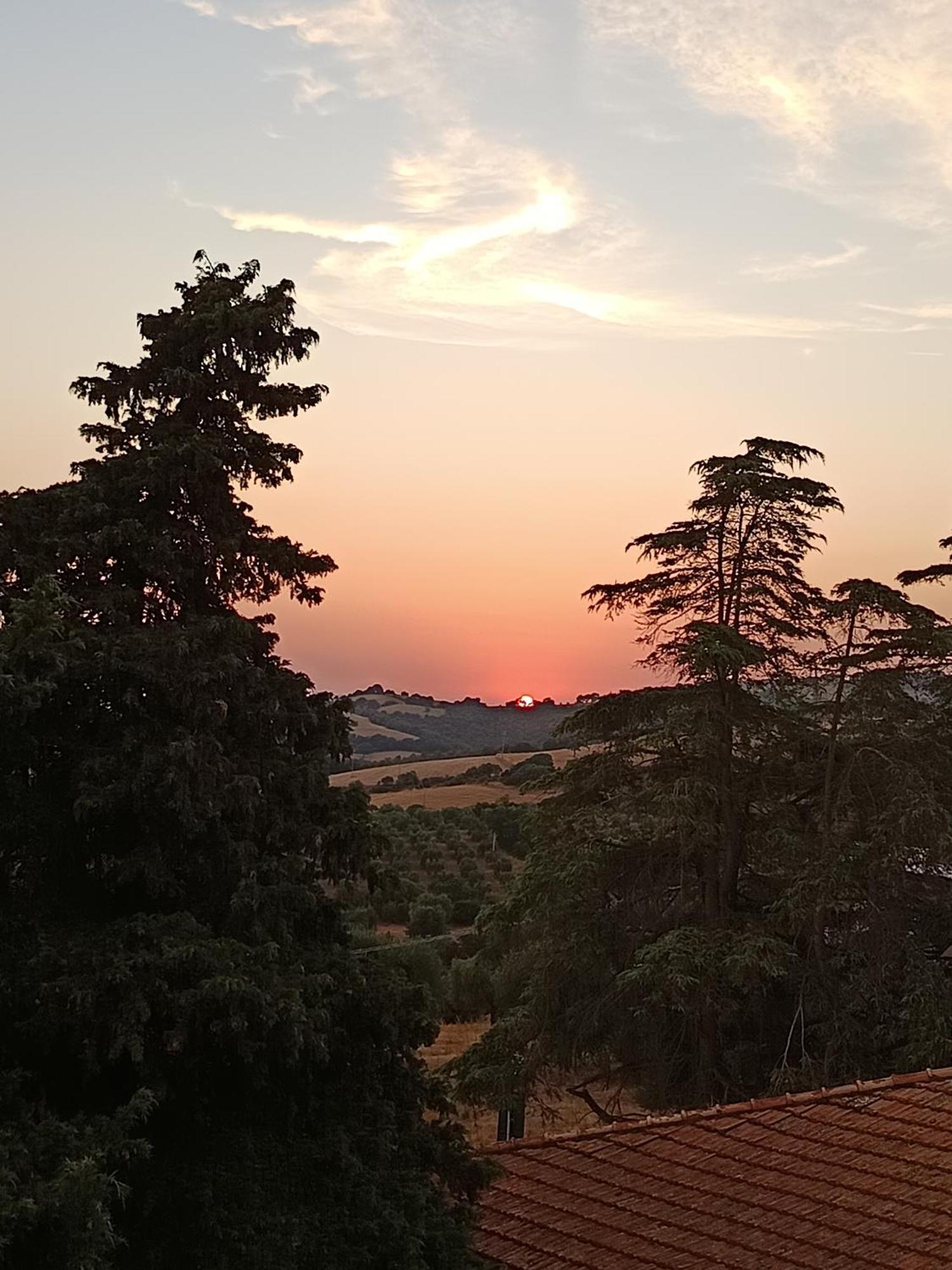 B&B Terramare Montiano  Εξωτερικό φωτογραφία