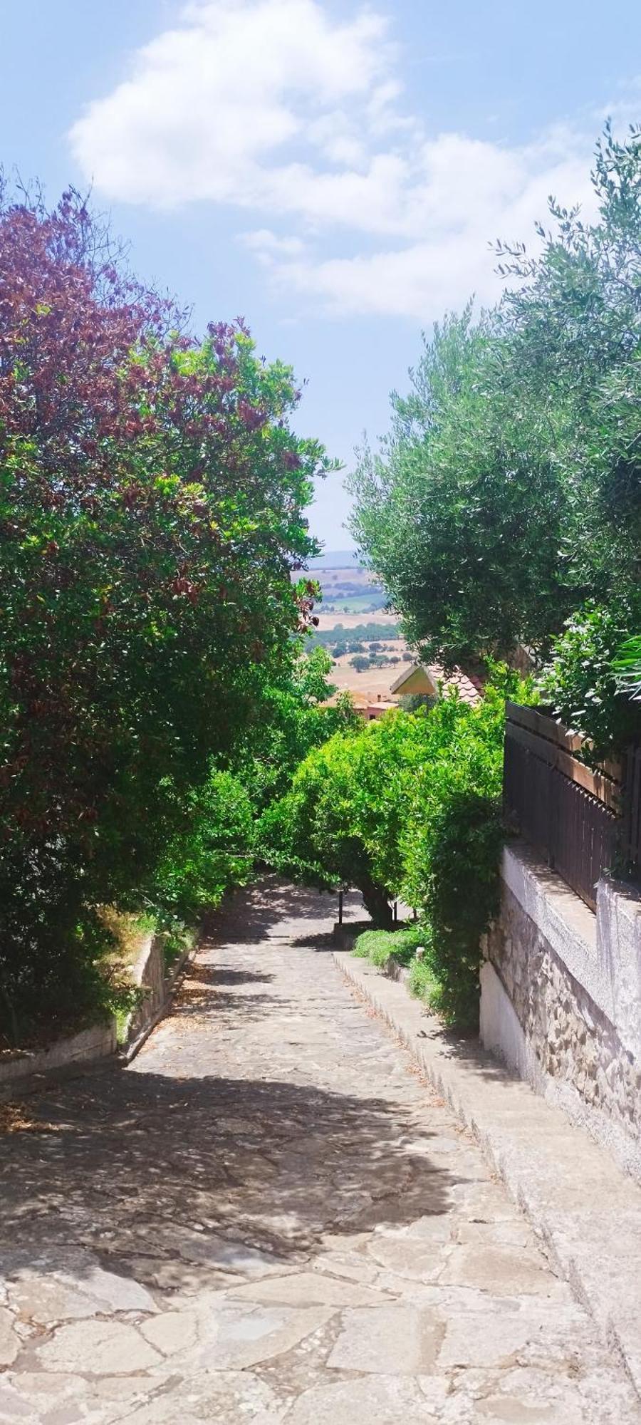 B&B Terramare Montiano  Εξωτερικό φωτογραφία