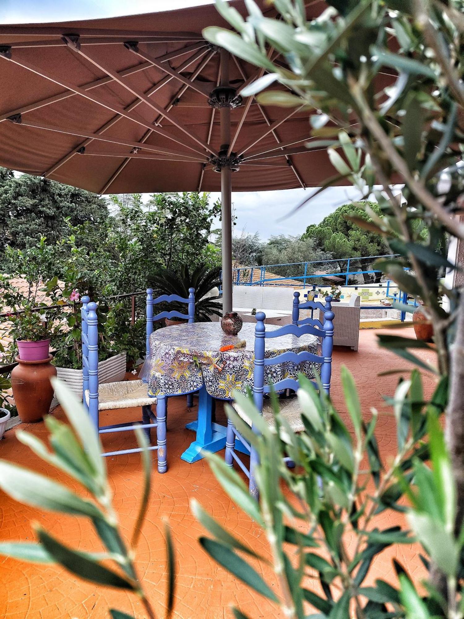 B&B Terramare Montiano  Εξωτερικό φωτογραφία